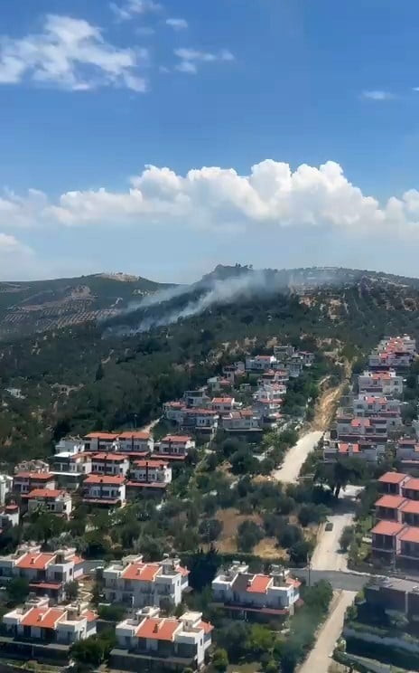 BURHANİYE’DEKİ ZEYTİNLİK YANGINI KONTROL ALTINA ALINDI