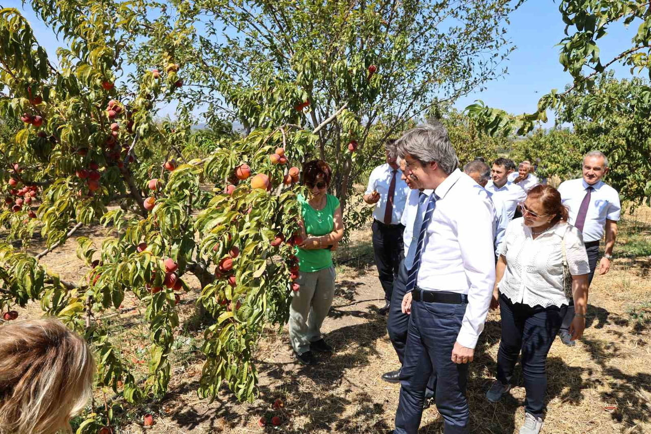 BURSA ULUDAĞ ÜNİVERSİTESİ (BUÜ), 2026 YILI ALAN BAZLI QS DÜNYA ÜNİVERSİTE SIRALAMASI SONUÇLARINA...