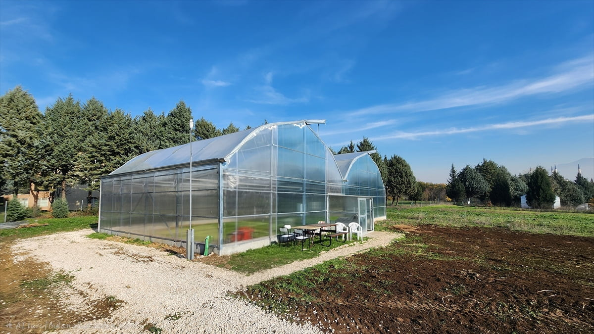 Bursa Uludağ Üniversitesi (BUÜ) Ziraat Fakültesi bünyesinde yürütülen çalışmayla, güneşten güç...