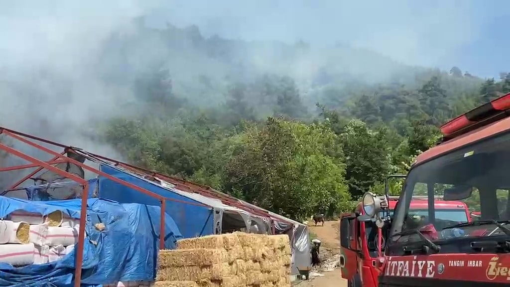 BURSA'DA AĞAÇLIK ALANDA ÇIKAN YANGIN PANİĞE NEDEN OLDU. İHBAR ÜZERİNE BÖLGEYE SEVK EDİLEN İTFAİYE...