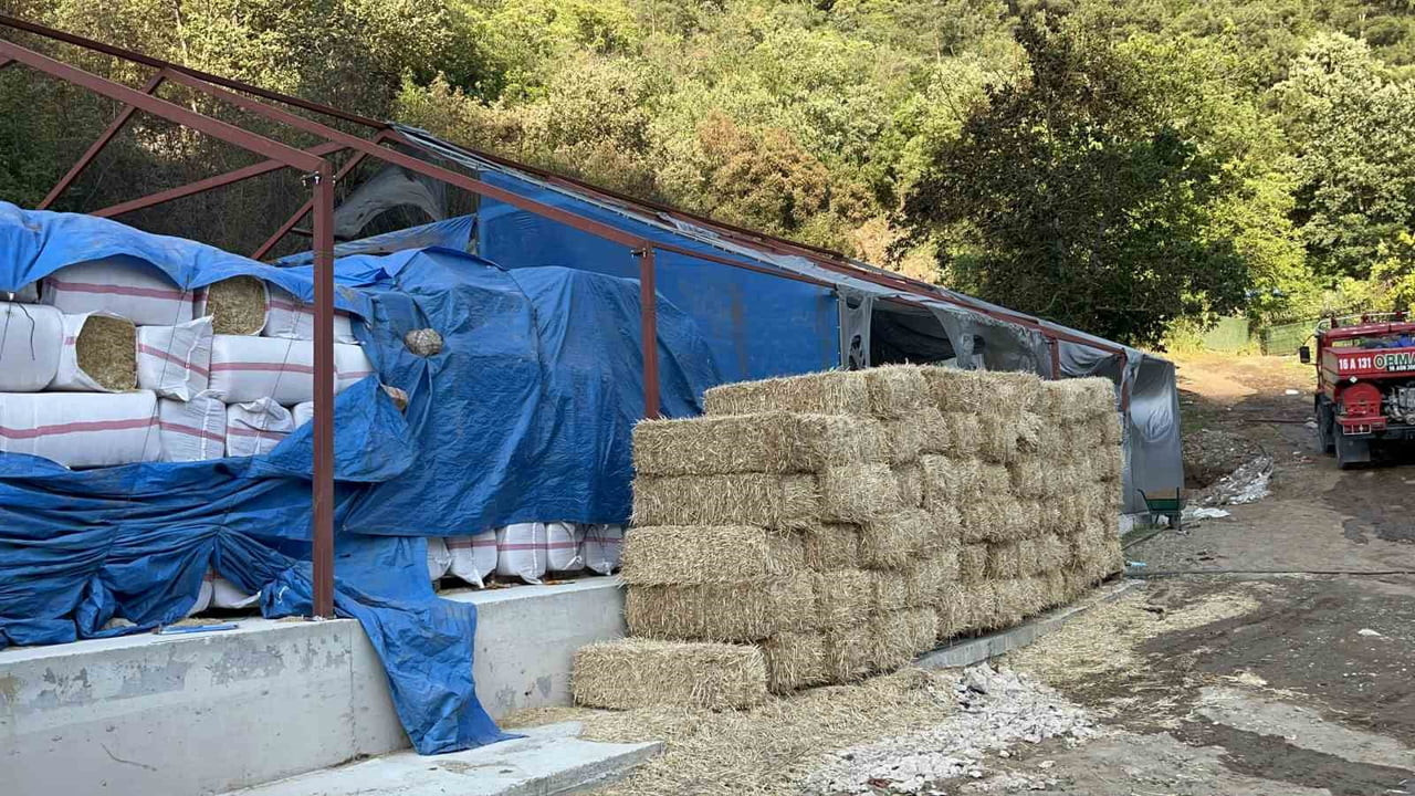 BURSA'DA ORMANLIK ALANA SIÇRAYAN YANGINA İLİŞKİN YÜRÜTÜLEN SORUŞTURMADA 1 ŞÜPHELİ GÖZALTINA...