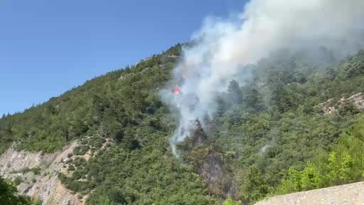 Bursa'da ormanlık alanda yangın