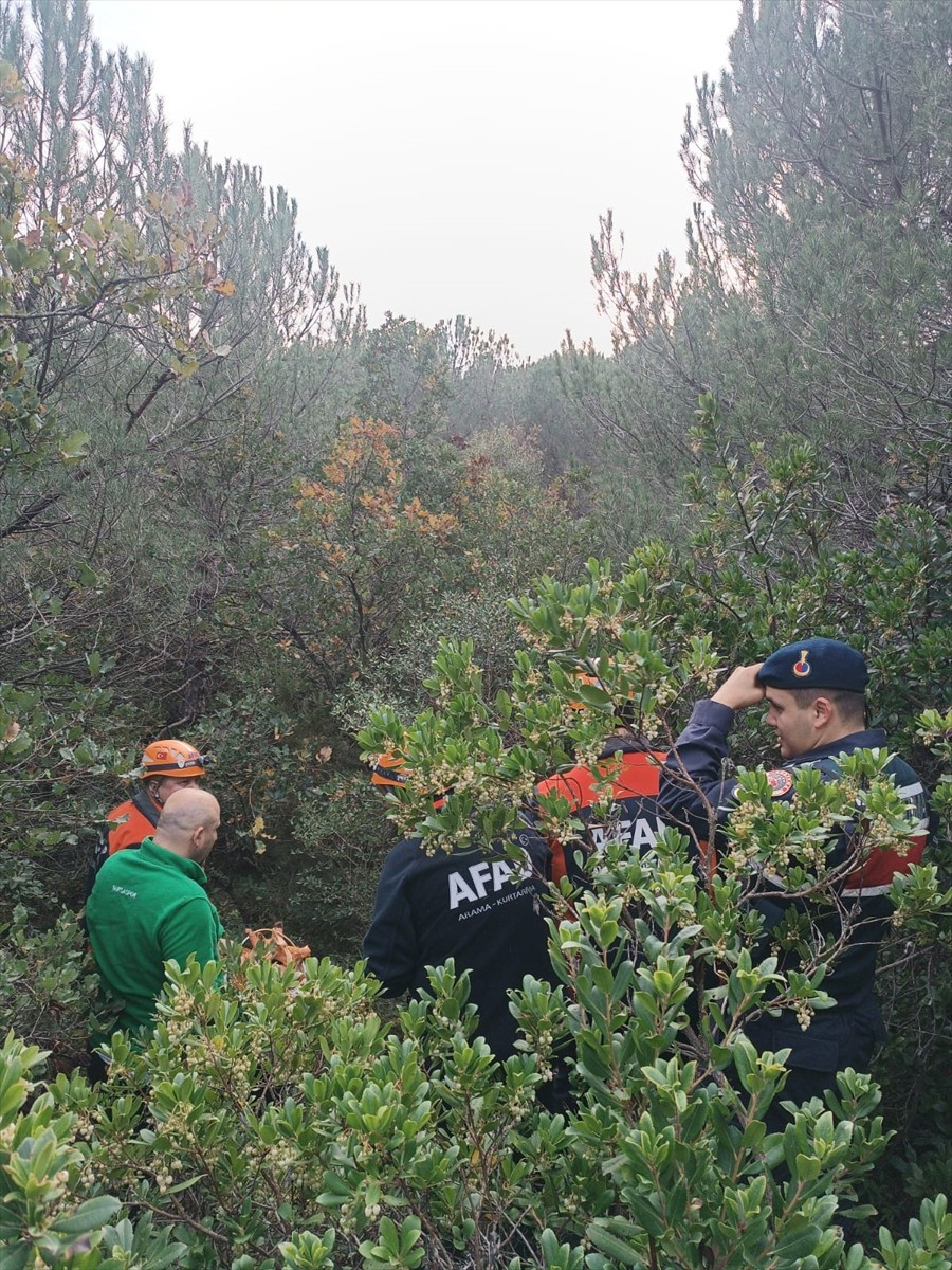 Bursa'nın Gemlik ilçesinde ormanlık alanda mahsur kalan kişi, AFAD ekiplerince kurtarıldı.