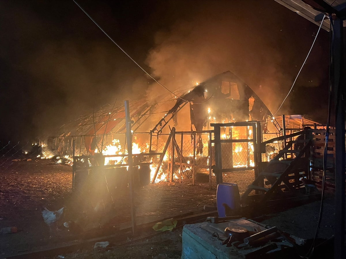 Bursa'nın İnegöl ilçesinde bir çiftlikte çıkan yangında çok sayıda kanatlı hayvan telef...