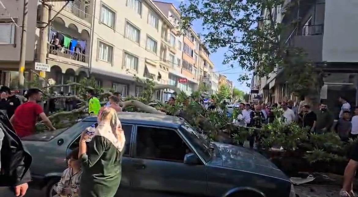 BURSA'NIN KARACABEY İLÇESİNDE DEVRİLEN  AĞACIN ALTINDA KALAN MOTOSİKLET SÜRÜCÜSÜNÜN DURUMUNUN...