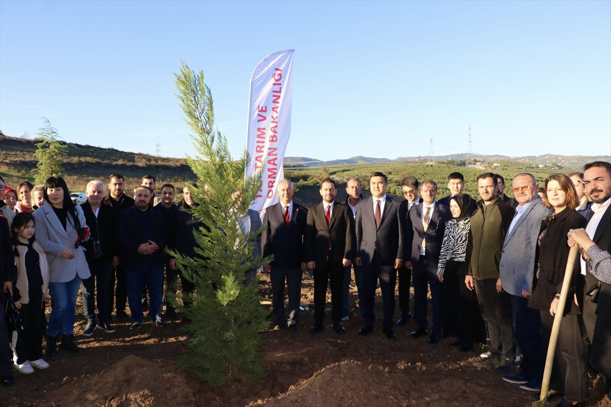 Bursa'nın Mudanya ilçesine bağlı Kırsal Balabancık Mahallesi yakınlarındaki ormanlık alanda...
