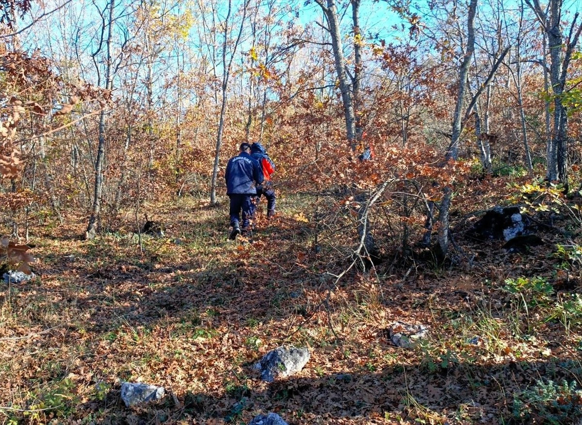 Bursa'nın Yenişehir ilçesinde mantar toplamak için gittiği ormanlık alanda kaybolan kişinin...