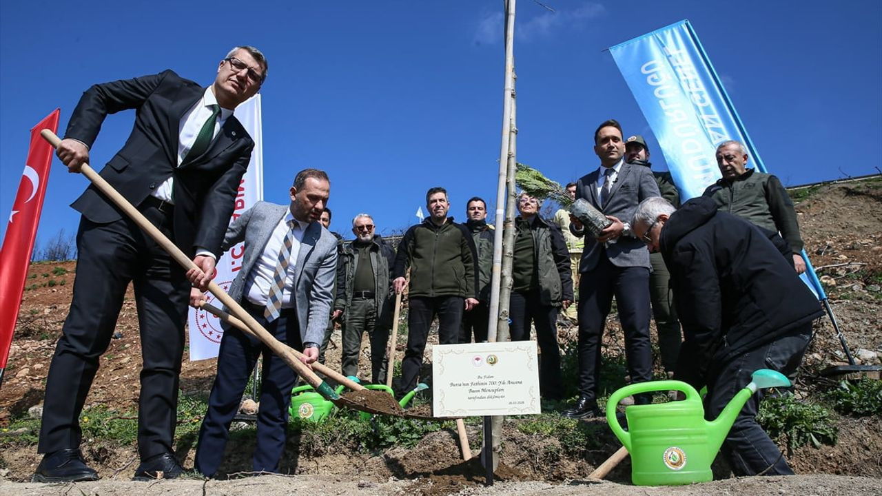 Bursa'da Basın Mensupları Ormanlık Alana Fidan Dikimi Gerçekleştirdi