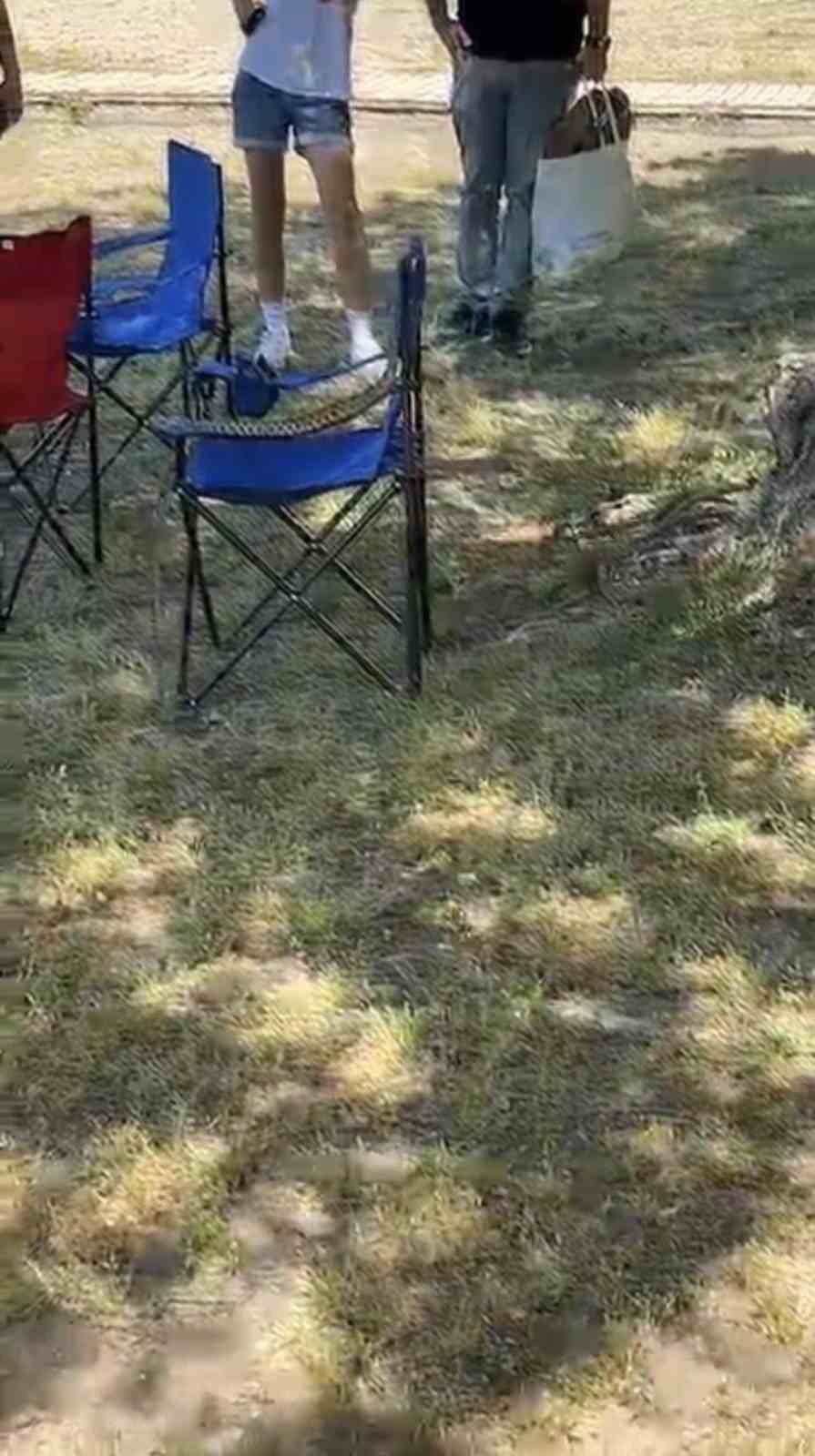 BURSA’DA SARI YILAN PANİĞİ