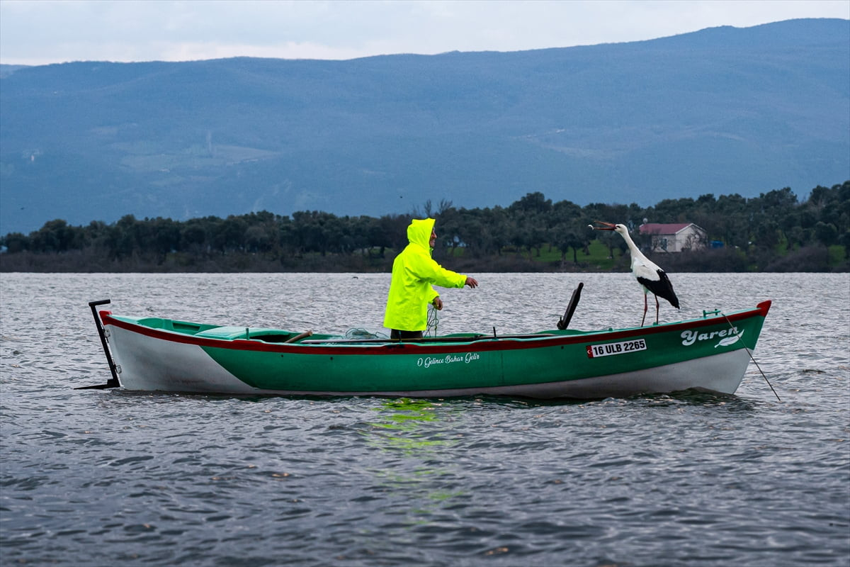 Bursa’nın Karacabey ilçesinde balıkçı Adem Yılmaz ile kurduğu dostluk hikayesiyle milyonların...