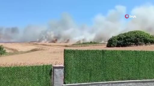 Büyükçekmece Çakmaklı Mahallesi’nde bilinmeyen bir nedenle geniş alan ot yangını çıktı