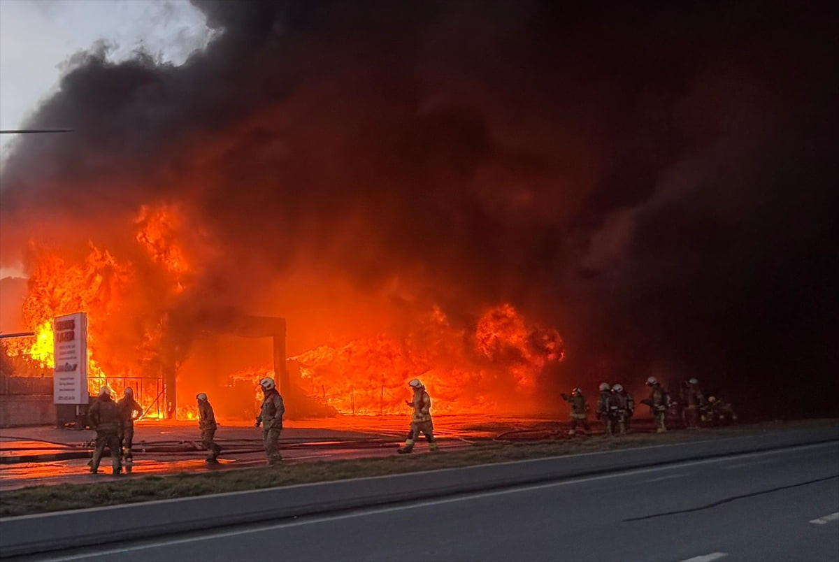 Büyükçekmece'de, bir tarım şirketinin deposuna ait açık alanında palet ve plastik kasalarda çıkan...