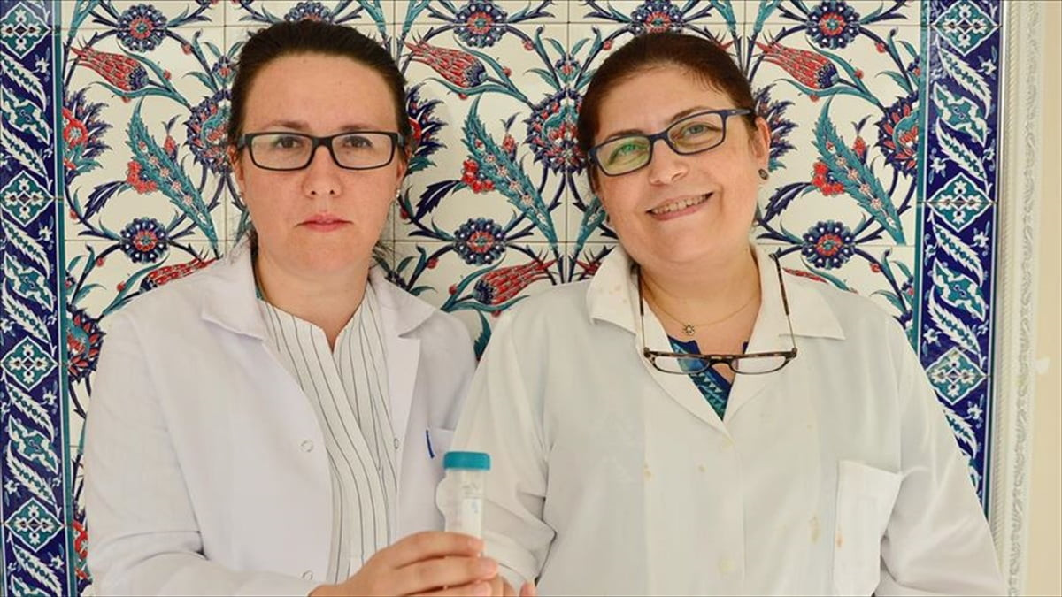Çanakkale Onsekiz Mart Üniversitesi (ÇOMÜ) akademisyenlerince geliştirilen çevre dostu ve doğal...
