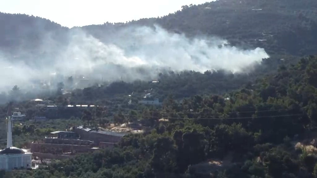 ÇANAKKALE'NİN AYVACIK İLÇESİNDE ZEYTİNLİK ALANDA ÇIKAN YANGINA ORMAN BÖLGE MÜDÜRLÜĞÜ EKİPLERİ...