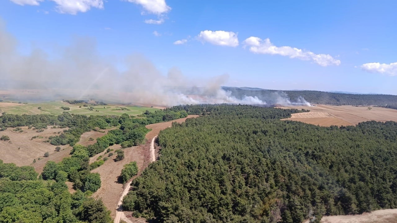 ÇANAKKALE'NİN ECEABAT İLÇESİNDE TARIM ARAZİSİNDE ÇIKIP ORMANLIK ALANA SIÇRAYAN YANGINA ORMAN BÖLGE...
