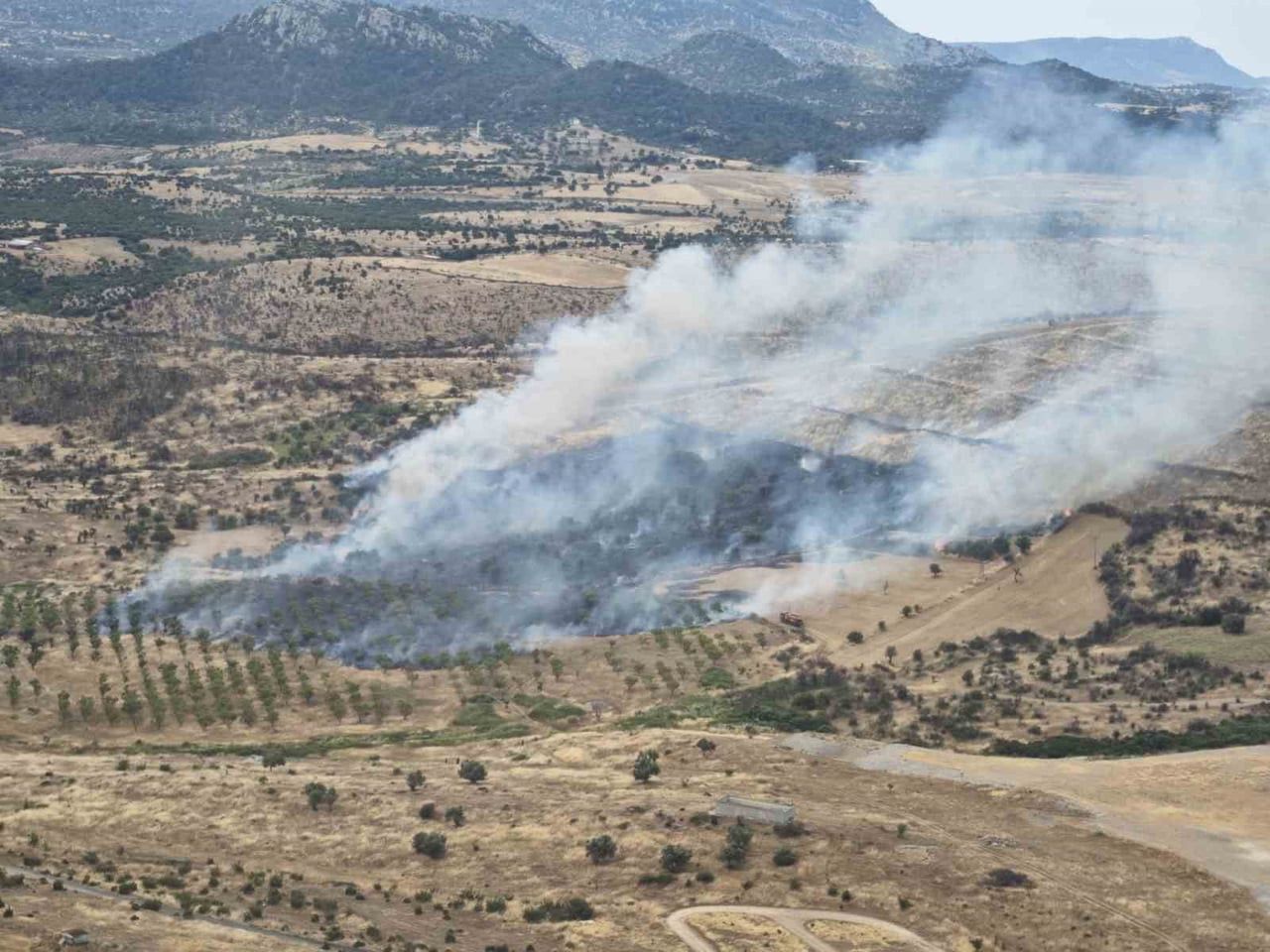 ÇANAKKALE'NİN EZİNE İLÇESİNDE ORMAN BÖLGE MÜDÜRLÜĞÜ'NE BAĞLI EKİPLERİN HAVADAN VE KARADAN MÜDAHALE...