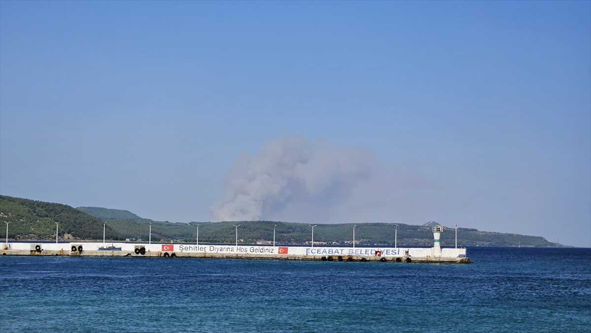 Çanakkale'nin Gelibolu ilçesinde çıkan yangına havadan ve karadan müdahale ediliyor.