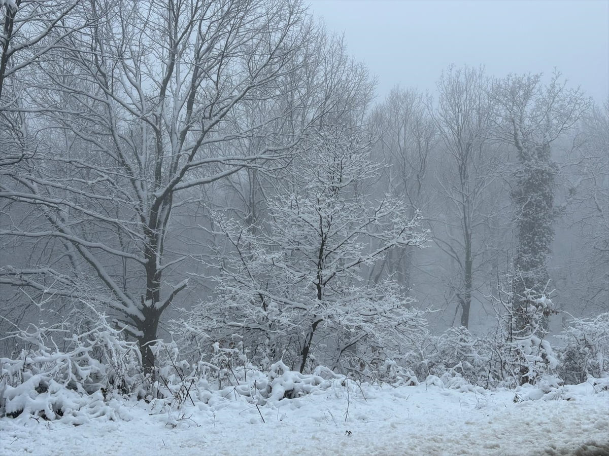 Çanakkale'nin Lapseki ilçesinin yüksek kesimlerinde kar etkili oldu.
