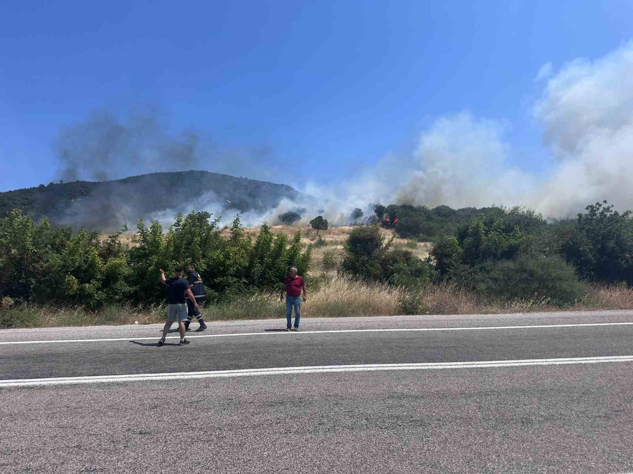 ÇANAKKALE’NİN AYVACIK İLÇESİNDE ÇIKAN ORMAN YANGININI KONTROL ALTINA ALMAK İÇİN ORMAN BÖLGE...