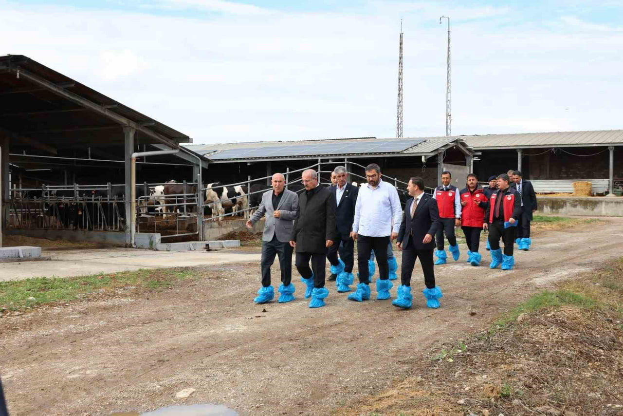 ÇANAKKALE’NİN BİGA İLÇESİNDE KURBAN BAYRAMI ÖNCESİ BÜYÜKBAŞ HAYVANCILIK İLE UĞRAŞAN İŞLETMEDE...