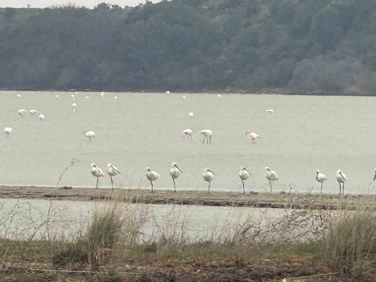 ÇANAKKALE’NİN ECEABAT İLÇESİNDE KAYMAKAM KEREM YENİGÜN, SUVLA BÖLGESİNİN DOĞAL ZENGİNLİKLERİNİN...