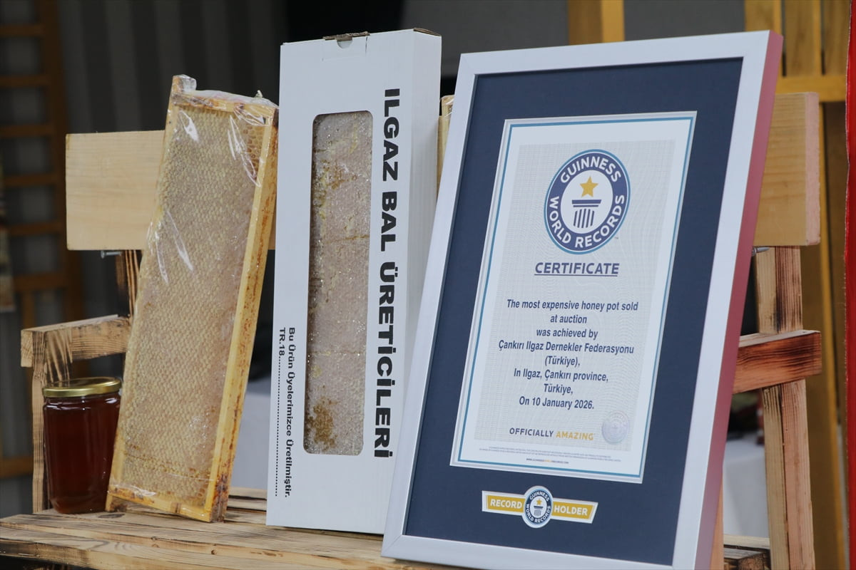 Çankırı'nın Ilgaz ilçesinde, üniversite öğrencilerine burs imkanı sağlamak için düzenlenen açık...