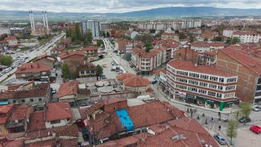 Çatıda yetişen ağaç hayrete düşürüyor: Kesiliyor, kuruyor ama yeniden yeşeriyor