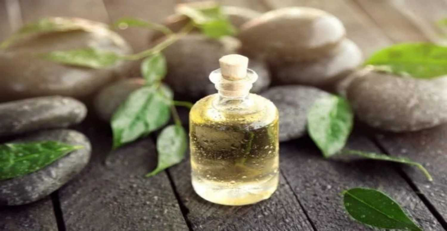Çay ağacı yağı nedir