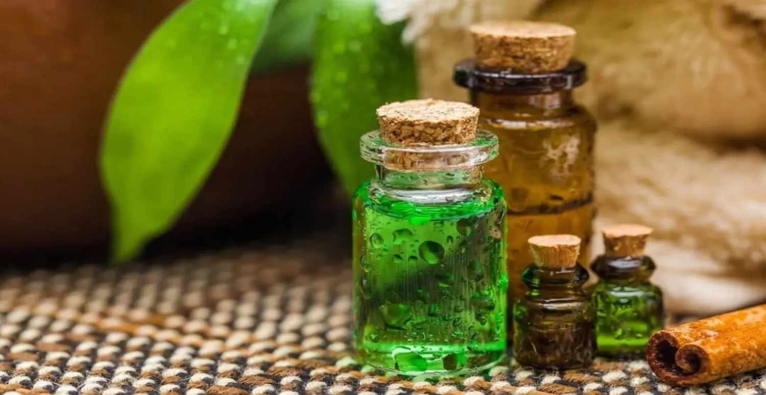 Çay ağacı yağı nedir