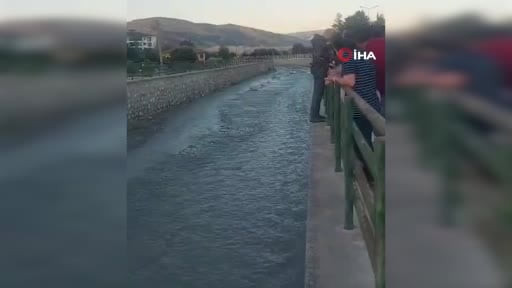 Çaya düşen yavru kediyi itfaiye ekipleri kurtardı