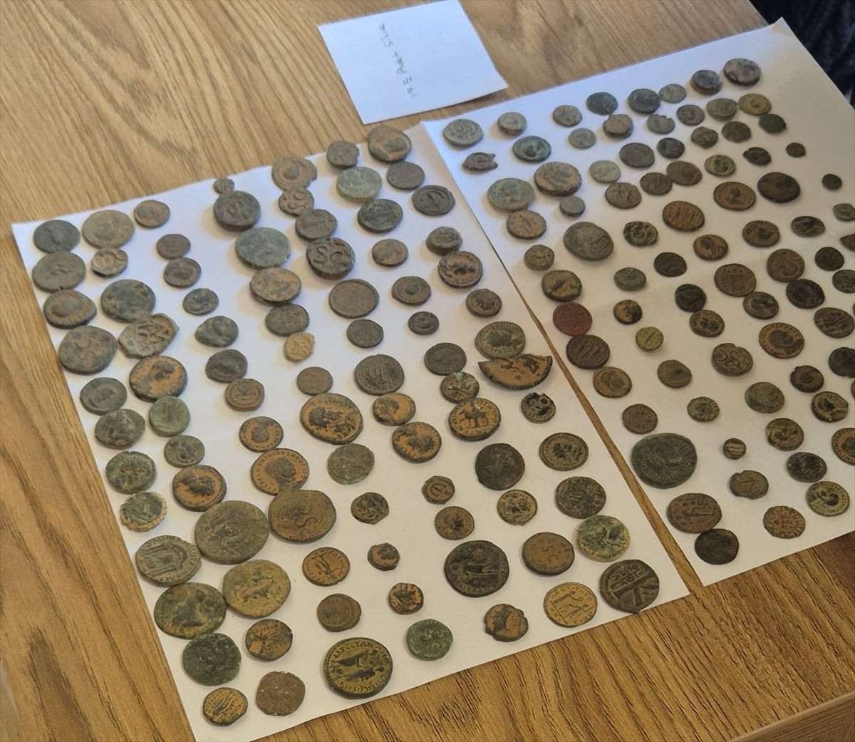 Çeşme Ulusoy Limanı'ndan İtalya'ya kaçırılmak istenilen 7 bin 550 sikke ve figürü kazı çalışmaları...