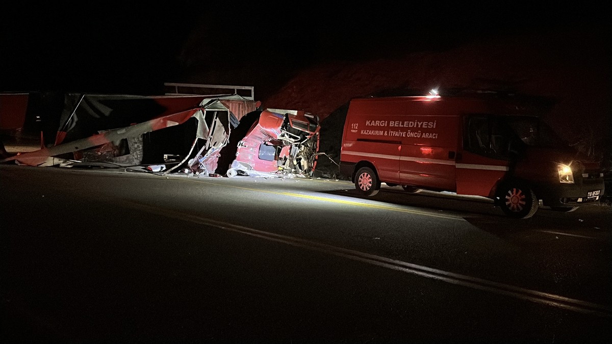 Çorum-Sinop kara yolu Kargı Karagöl mevkisinde balık yemi yüklü kamyon yol kenarına devrildi.