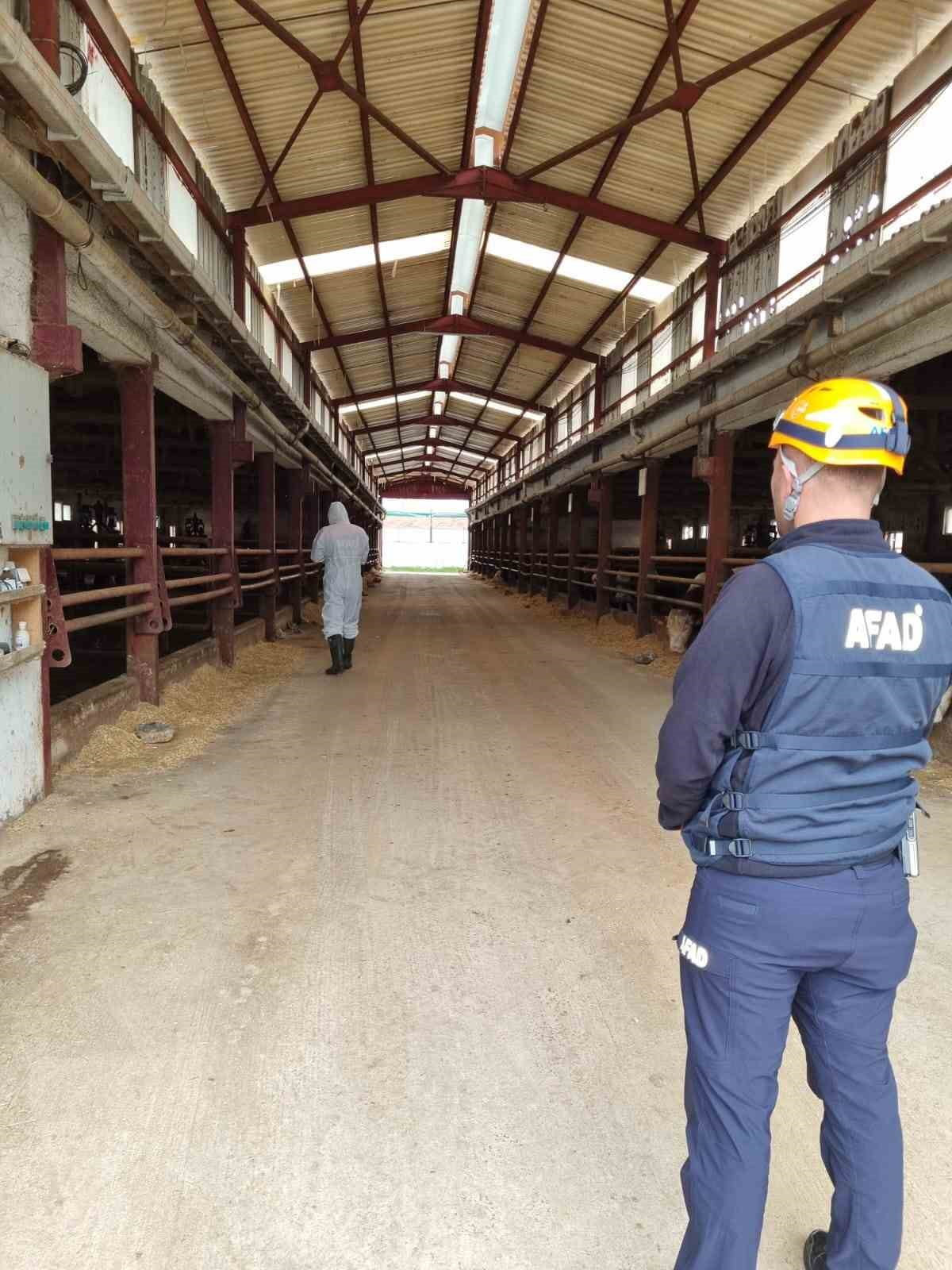 ÇORUM'DA BİR ÇİFTLİKTEN SIZDIĞI DEĞERLENDİRİLEN GAZ SEBEBİYLE 1 İŞÇİ VE 2 BÜYÜKBAŞ HAYVAN...