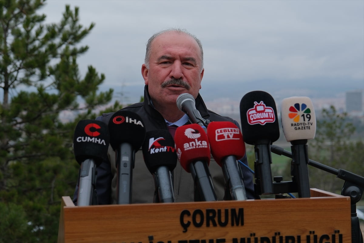 Çorum'da Dünya Ormancılık Günü ve Orman Haftası kapsamında 2 bin fidan toprakla buluşturuldu....