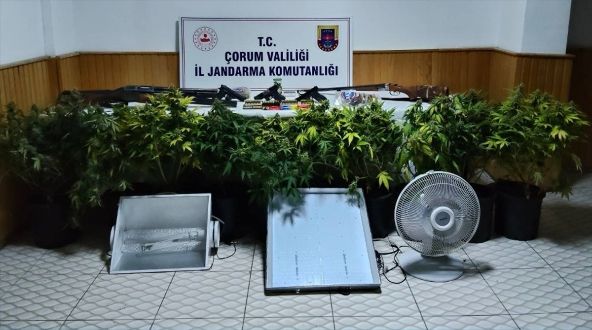 Çorum'un Bayat ilçesinde bir köy evinde iklimlendirme sistemi kurarak uyuşturucu içerikli bitki...