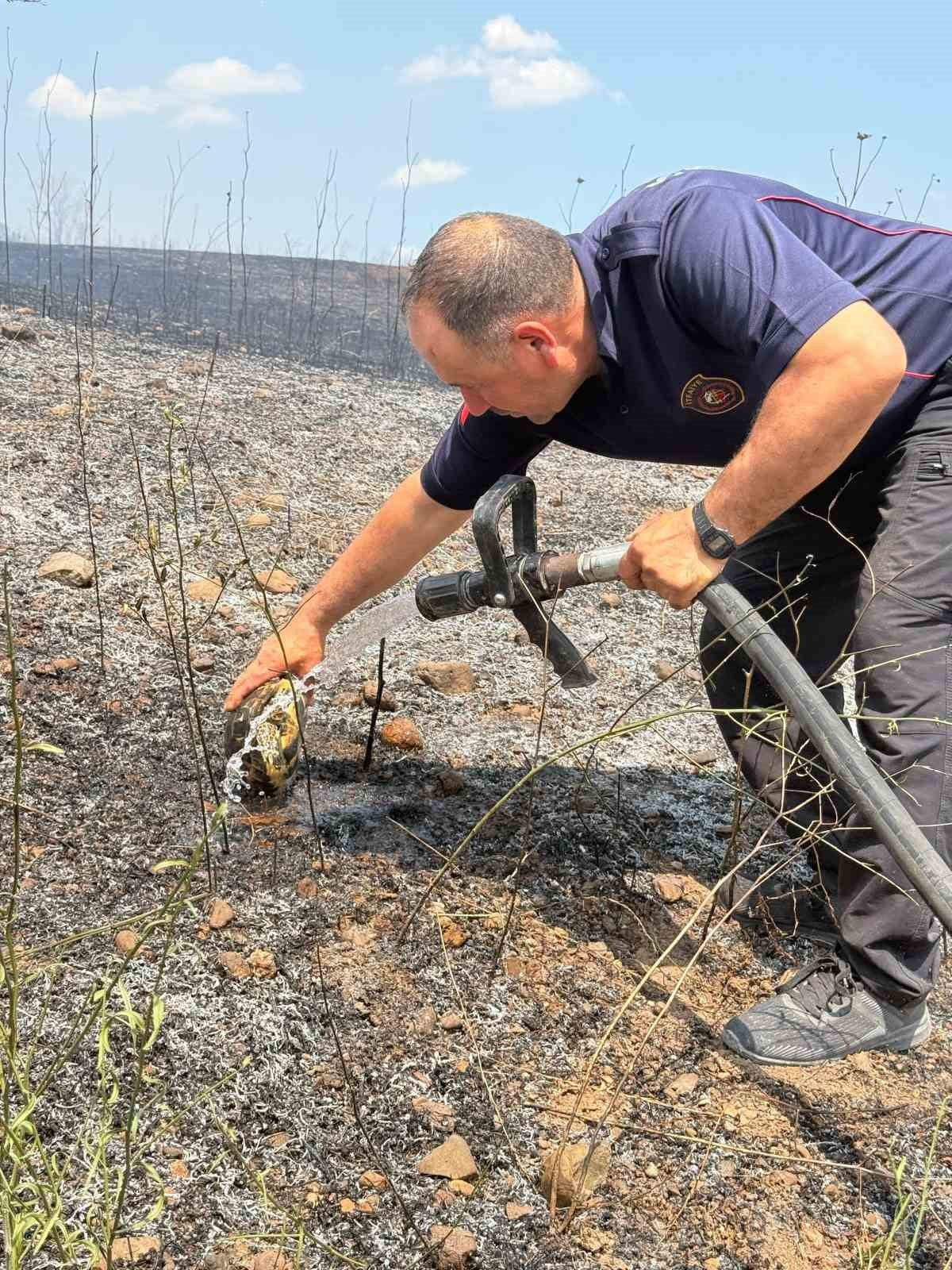 ÇORUM'UN BOĞAZKALE İLÇESİNDE ÇIKAN ARAZİ YANGININA MÜDAHALE EDEN İTFAİYE EKİPLERİ, ALEVLERİN...