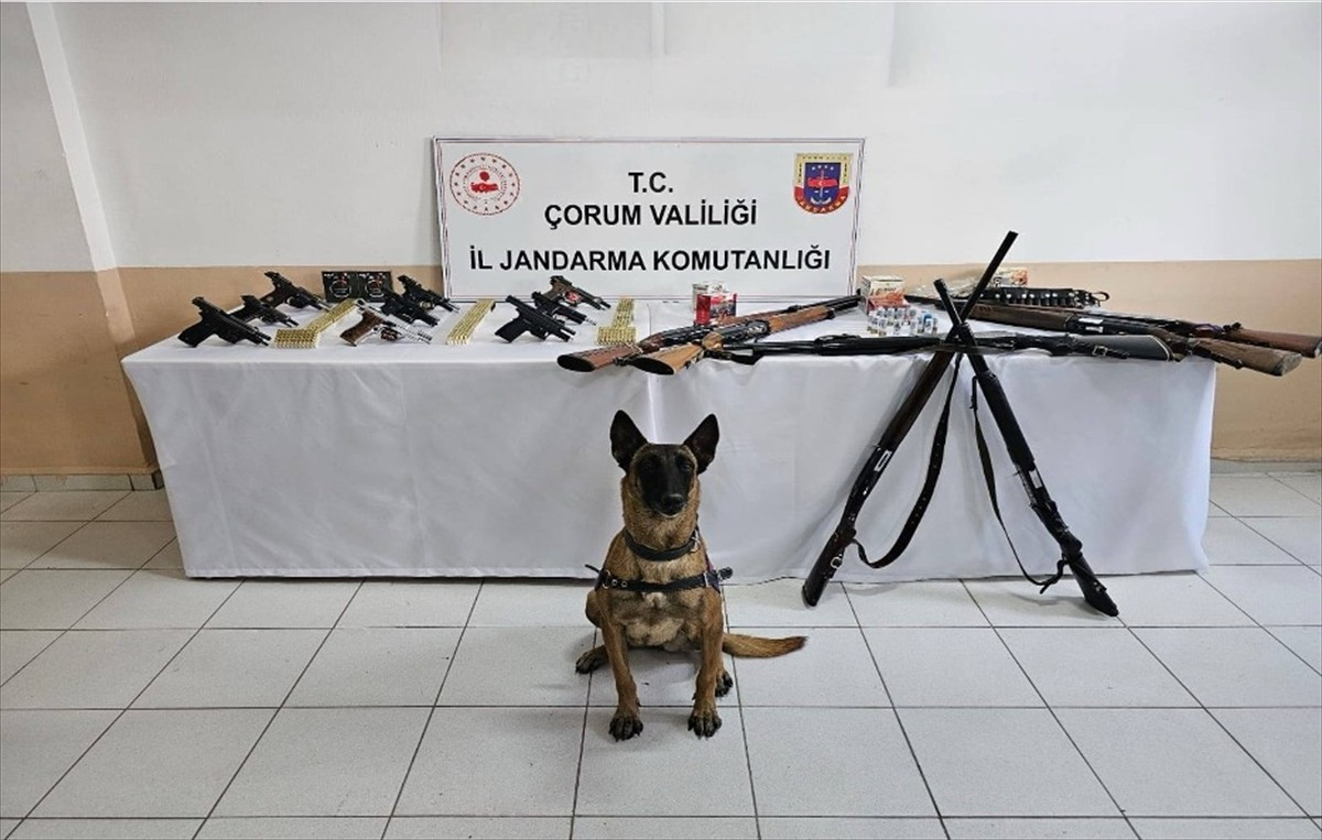 Çorum'un İskilip ilçesinde düğünlerde havaya ateş açtıkları tespit edilen 11 kişi jandarma...