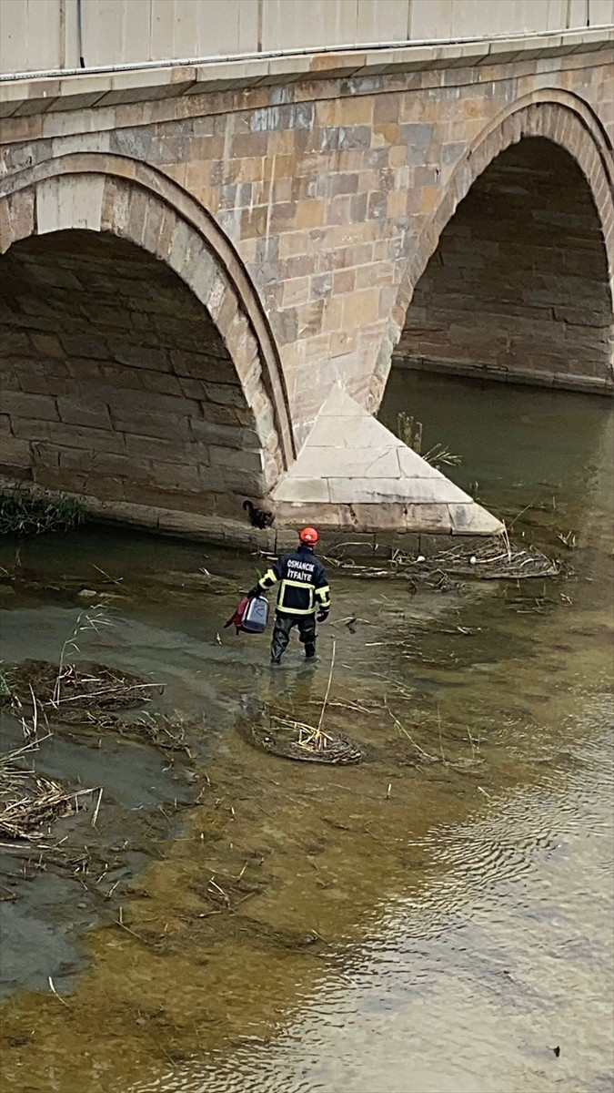 Çorum'un Osmancık ilçesinde nehre düşen kedi, itfaiye ekiplerince kurtarıldı.