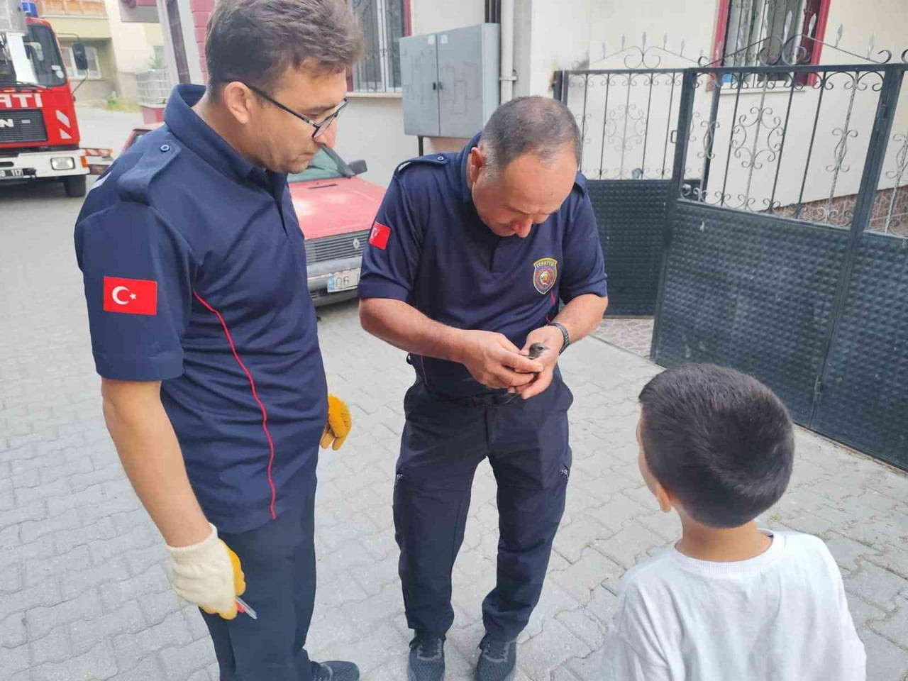 ÇORUM'UN SUNGURLU İLÇESİNDE BİR APARTMANIN ÇATI KENARINA SIKIŞAN KIRLANGIÇ İTFAİYE EKİPERLİNİN...