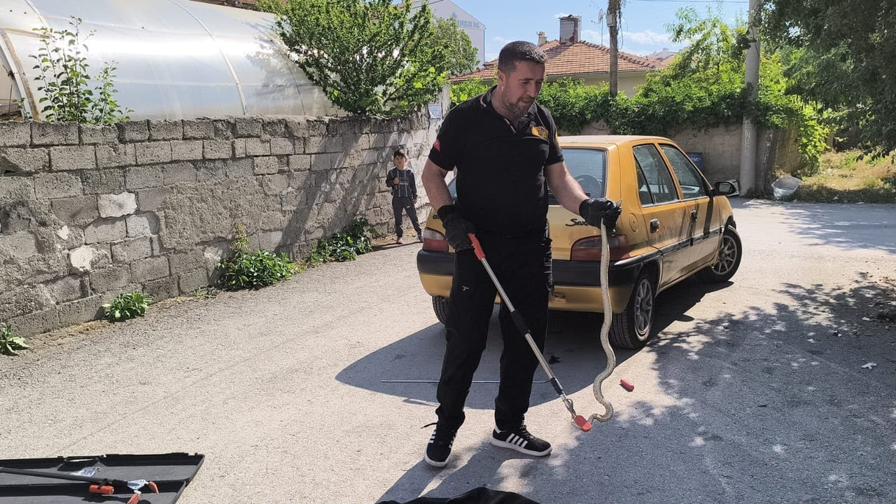 ÇORUM’UN ALACA İLÇESİNDE BİR OTOMOBİLİN ALT KISMINA GİREN YILAN, İTFAİYE EKİPLERİNİN MÜDAHALESİYLE...