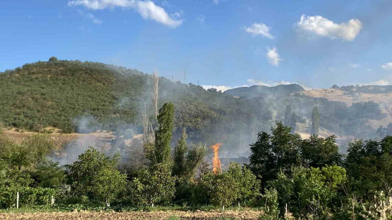 ÇORUM’UN LAÇİN İLÇESİNDE ÇIKAN ORMAN YANGINI İTFAİYE VE ORMAN EKİPLERİ TARAFINDAN KONTROL ALTINA...