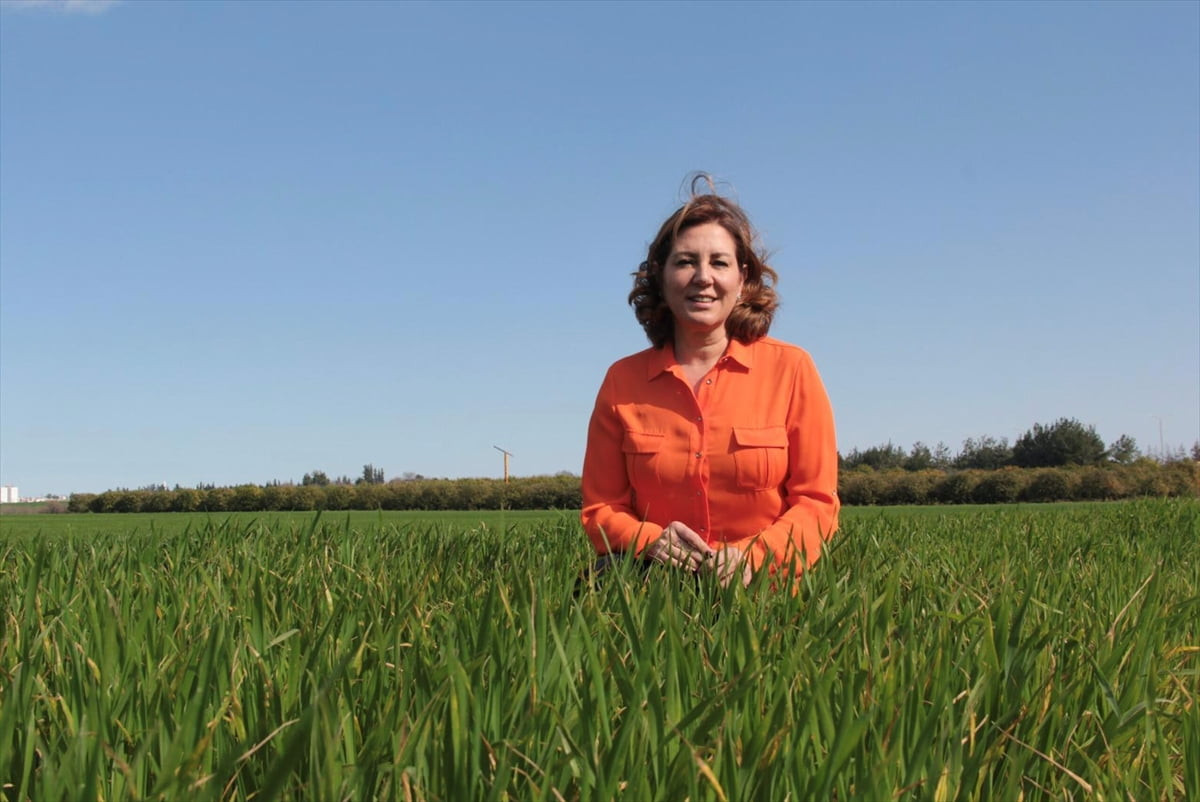 Çukurova Üniversitesi Mühendislik Fakültesi Çevre Mühendisliği Bölümü Öğretim Üyesi Prof. Dr....