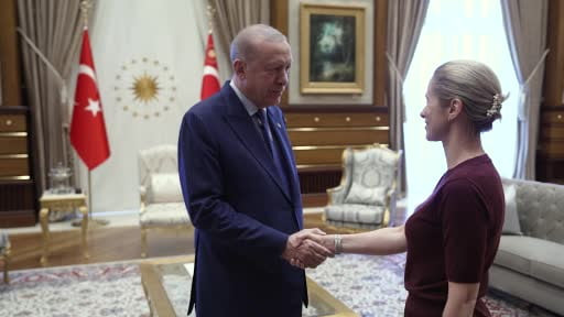 Cumhurbaşkanı Erdoğan, AB temsilcilerini kabul etti