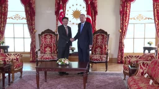 Cumhurbaşkanı Erdoğan, Singapur Başbakanı Lawrence Wong'u kabul etti