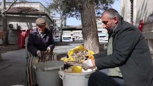 Dağlardan toplanan doğal antibiyotik, tezgahlarda yerini aldı