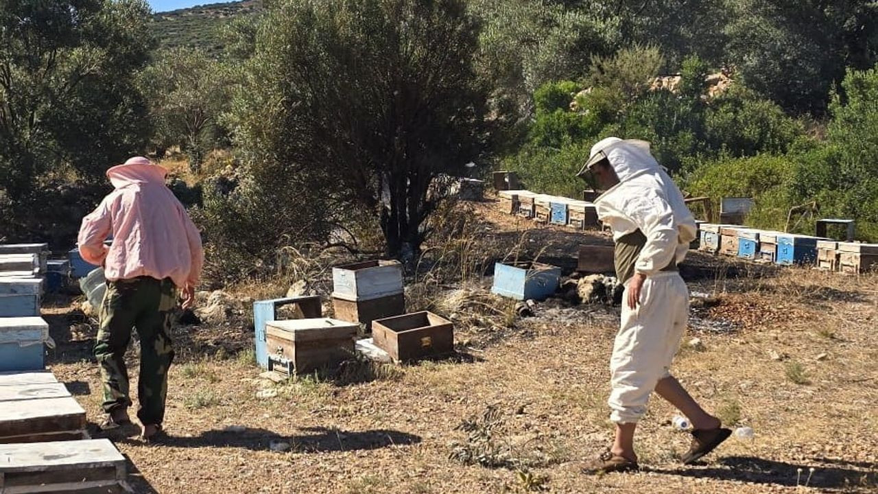 Datça'da çıkan yangın hızla kontrol altına alındı