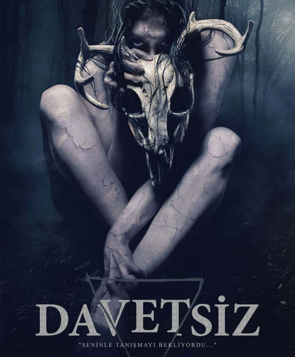 davetsiz