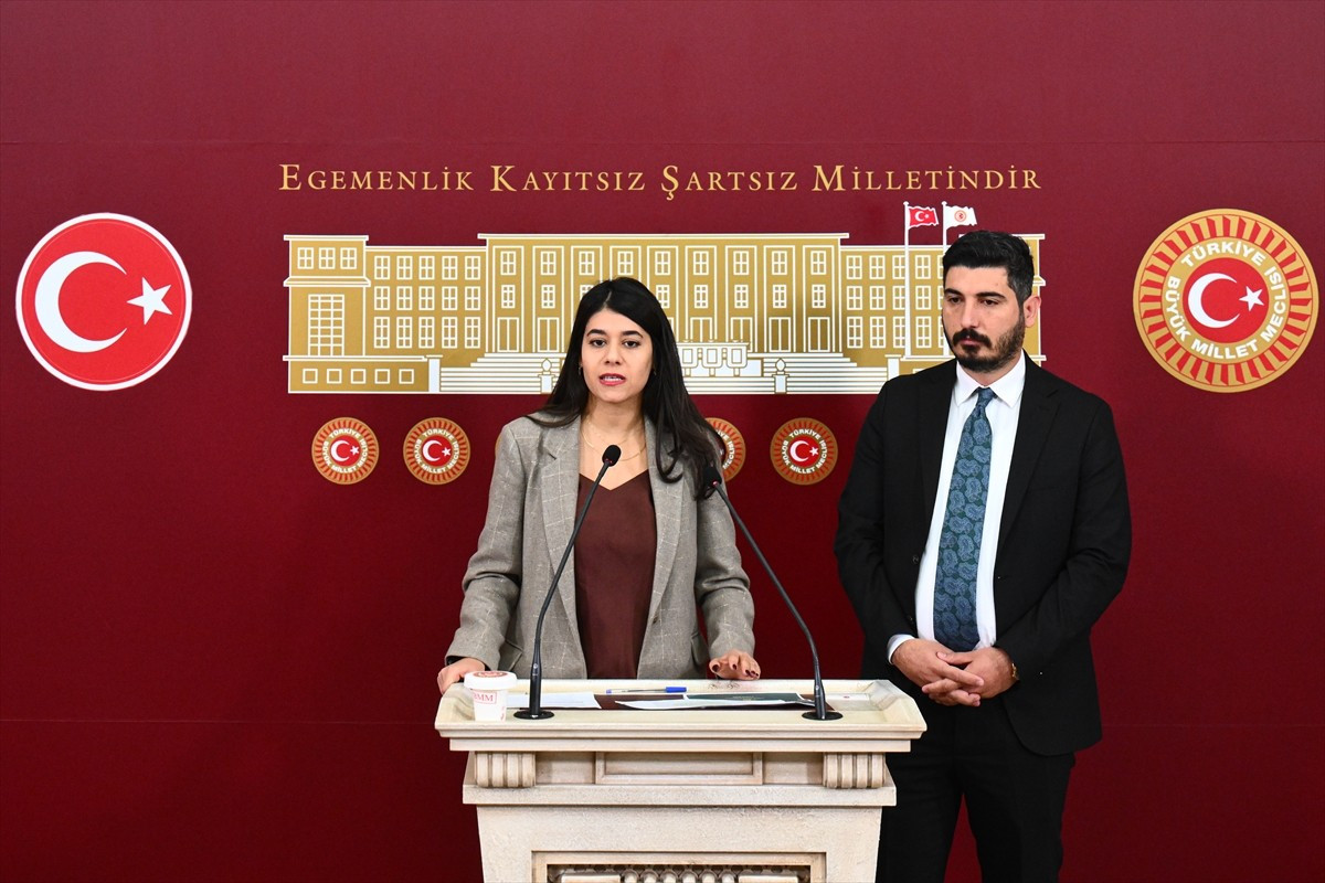 DEM Parti Mardin Milletvekili Beritan Güneş Altın (solda) ile Hakkari Milletvekili Onur Düşünmez...