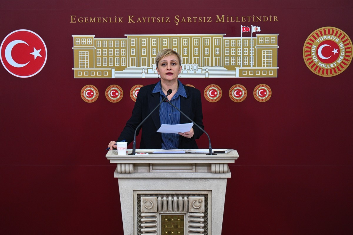 DEM Parti Mersin Milletvekili Perihan Koca Doğan, Meclis'te düzenlediği basın toplantısında...