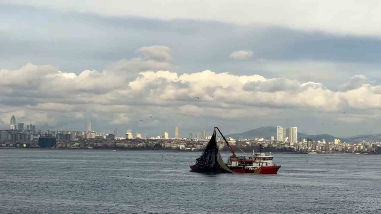 DENİZLERDE AV MEVSİMİNİN SON GÜNLERİNDE MARMARA’DA İSTAVRİT BOLLUĞU YAŞANIYOR.